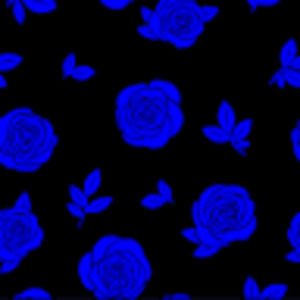 Meet your Posher, Sabrina